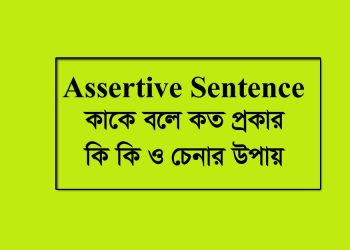 Assertive sentence কাকে বলে কত প্রকার কি কি ও চেনার উপায়