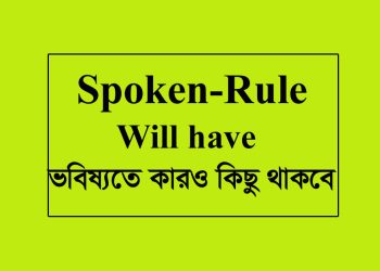 Will have এর অর্থ-ভবিষ্যতে কারও কিছু থাকবে