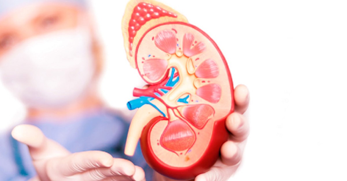 কিডনি রোগের লক্ষণ ও রোগ নির্ণয়-Sign Symptoms Diagnosis of Kidney Disease