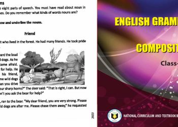 Class 8 english grammar-Nouns-Unit-1-Lesson-2