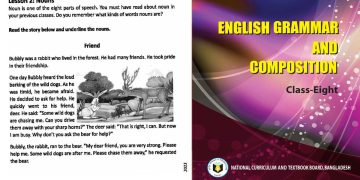 Class 8 english grammar-Nouns-Unit-1-Lesson-2