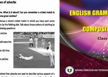 Class 8 english grammar-types of adverbs