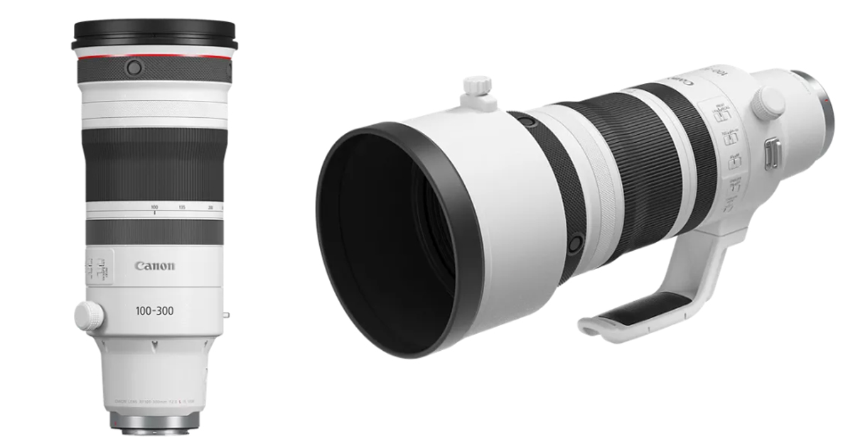 Canon RF 100-300mm f2.8 Lens review-price